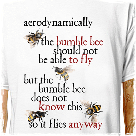 BUMBLE BEES - AERODYNAMICS (Apiarist Hive)