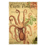 octopus french postcard